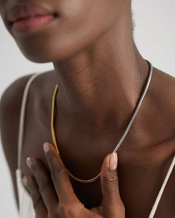Snake Two Tone Necklace