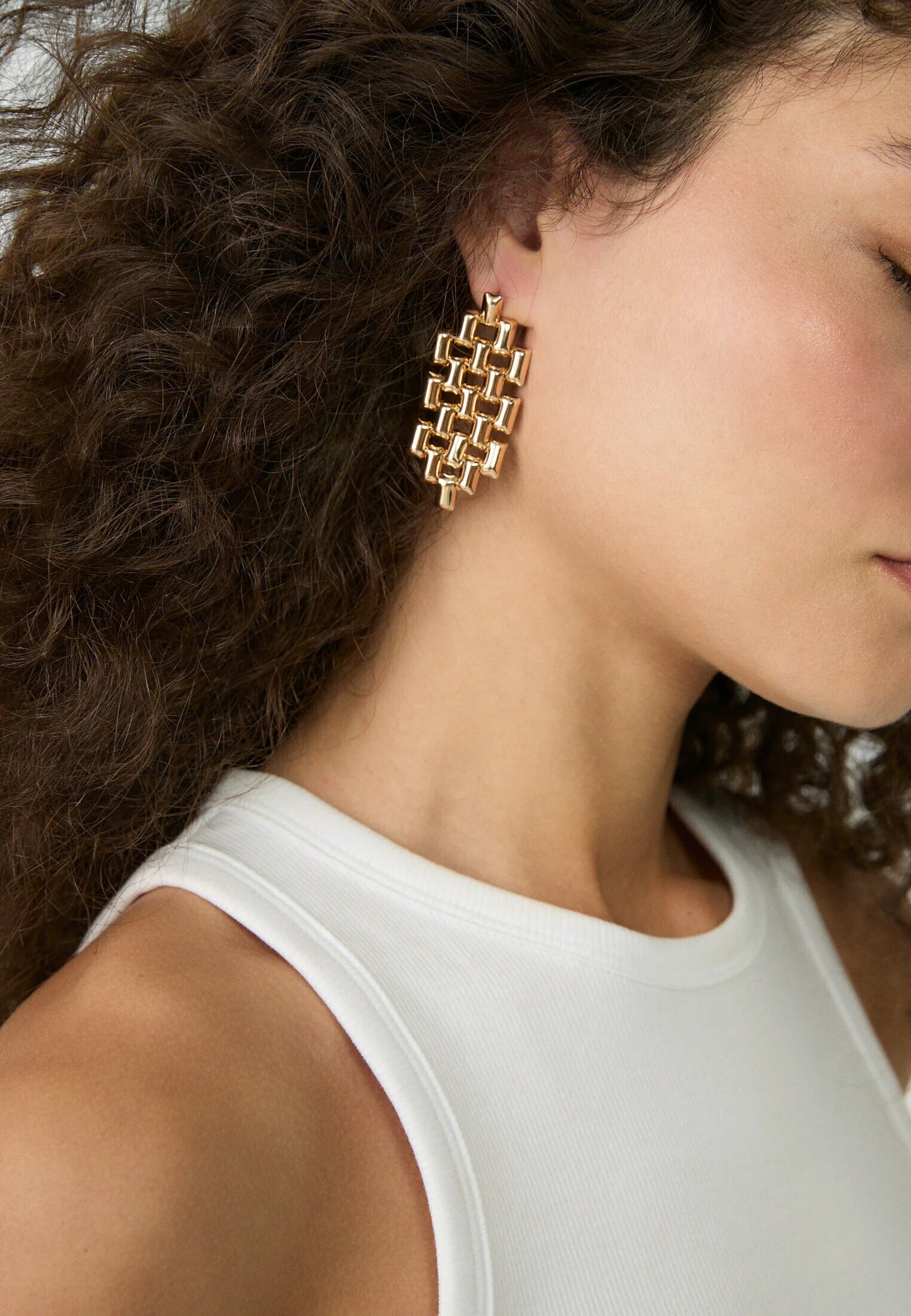 Zyla Link Earrings