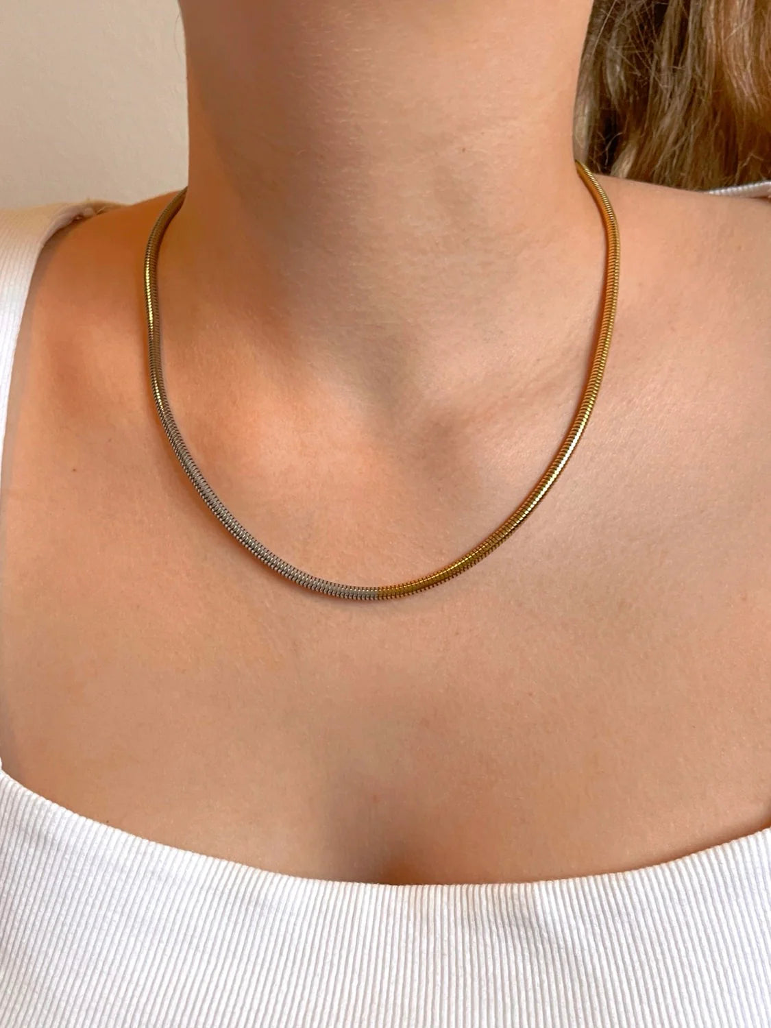 Snake Two Tone Necklace